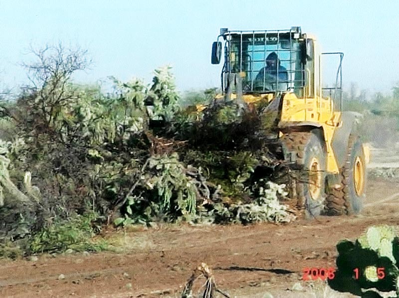 land clearing